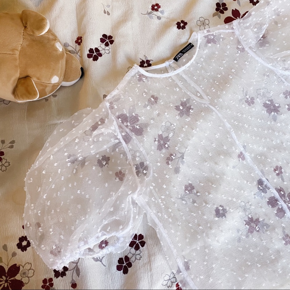 ZARA polka dot puff sleeve mesh top